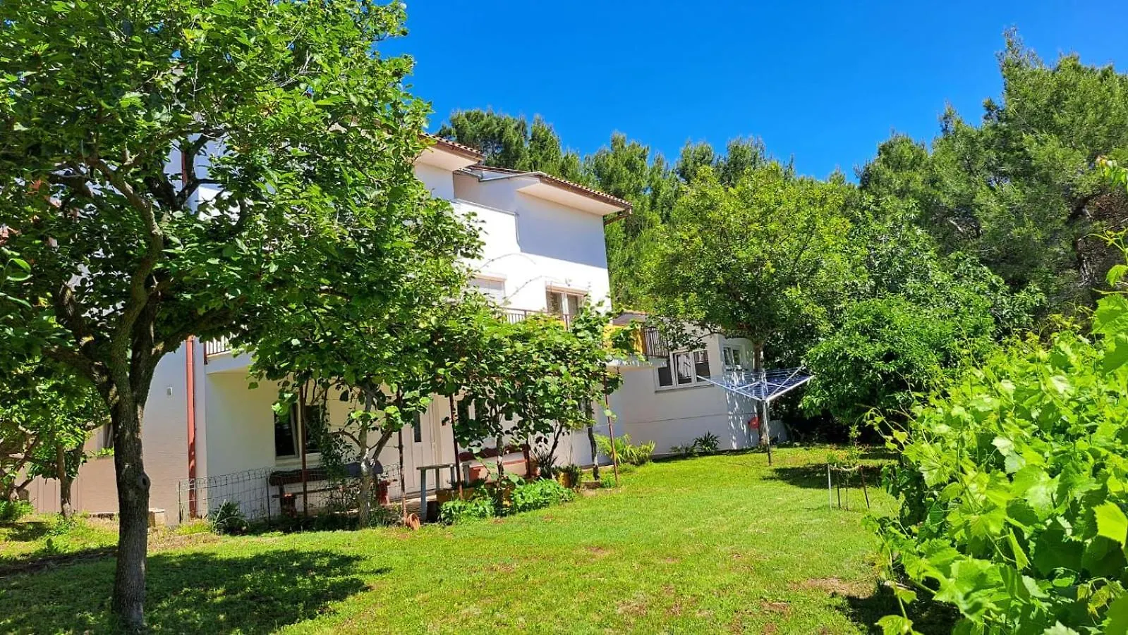 Appartements Lena. Premantura Apartamento